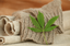 Hemp: Nature's Green Solution