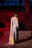 The Infrared Saree Dress