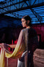 The Infrared Saree Dress