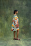 Tyana Printed Dress