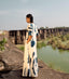 Bluebird Jumpsuit