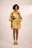 Midspring Dress