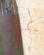 Sundarban Pants