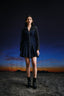 Classic Fitted Denim Dress