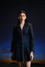 Classic Fitted Denim Dress