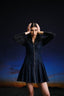 Classic Fitted Denim Dress